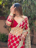 Designer Saree