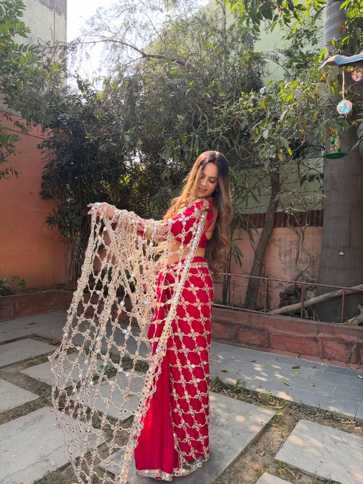 Designer Saree