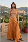 Indo Western Palazzo Set
