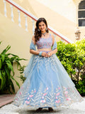 Designer Sequence Work Lehenga Set with Net Dupatta